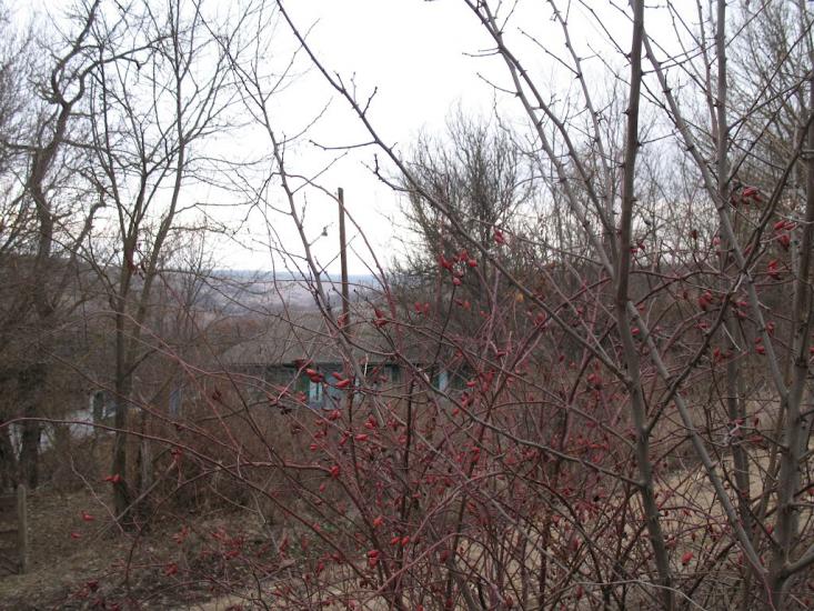 Верхня Слобідка з panoramio.com - Верхня Слобідка