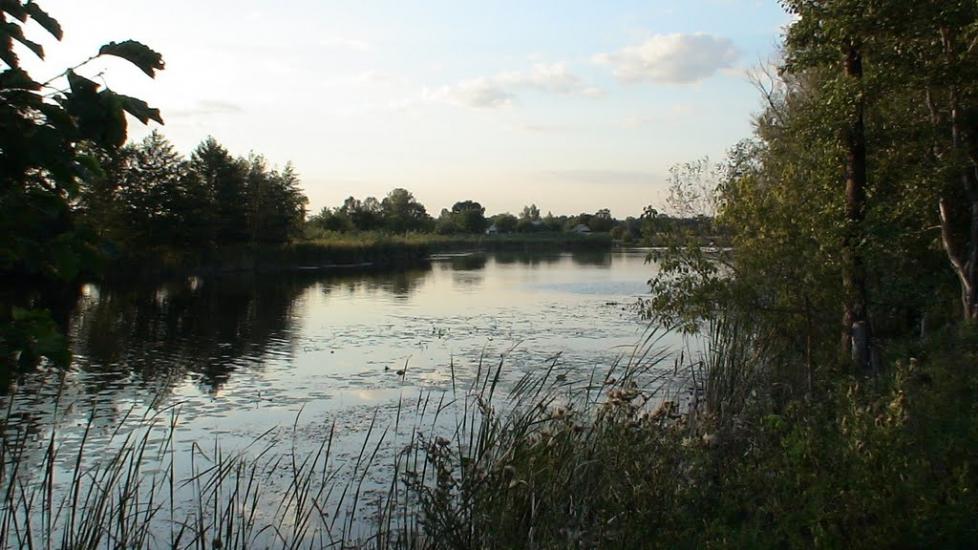 Остап'є з panoramio.com - Остапье