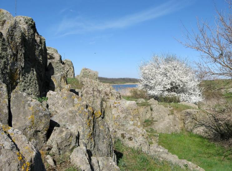Осипенко з panoramio.com - Осипенко