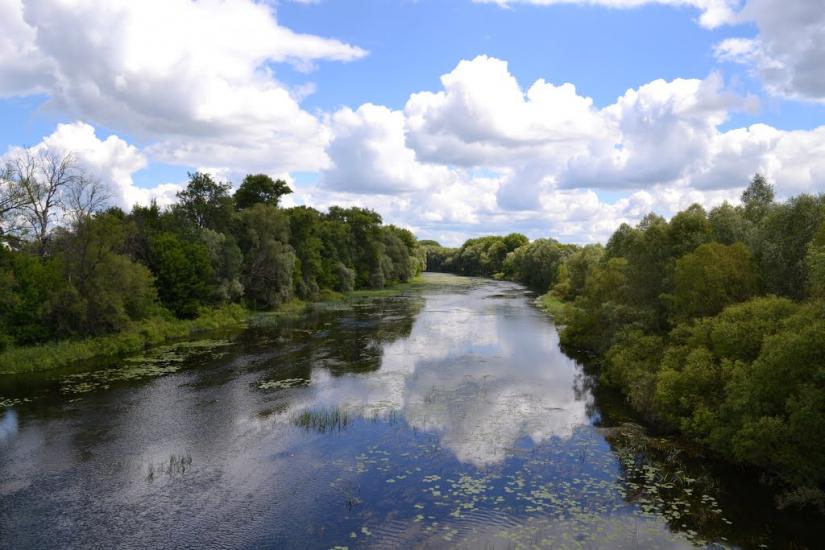 Селезнівка з panoramio.com - Селезневка