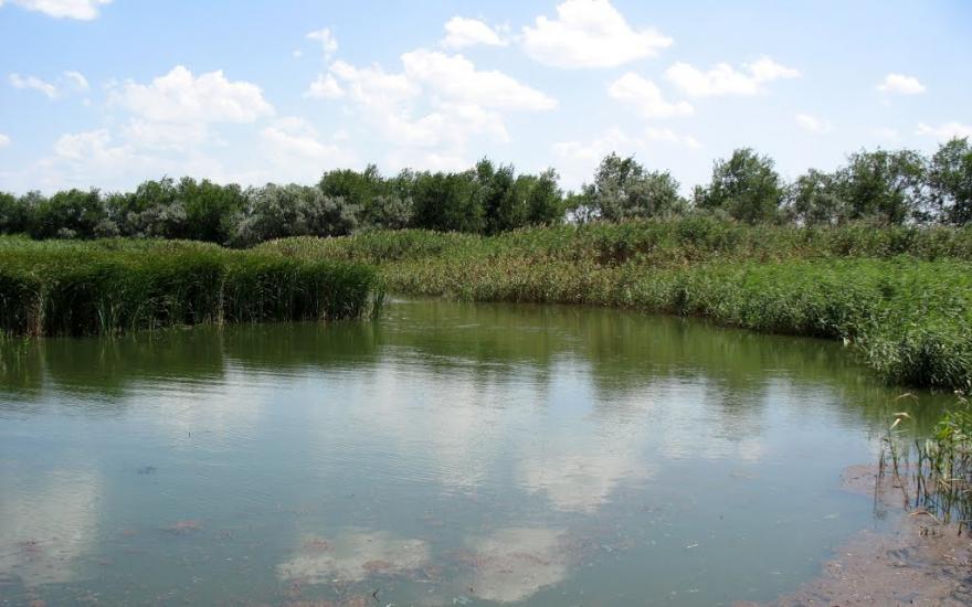 Широчани з panoramio.com - Широчани