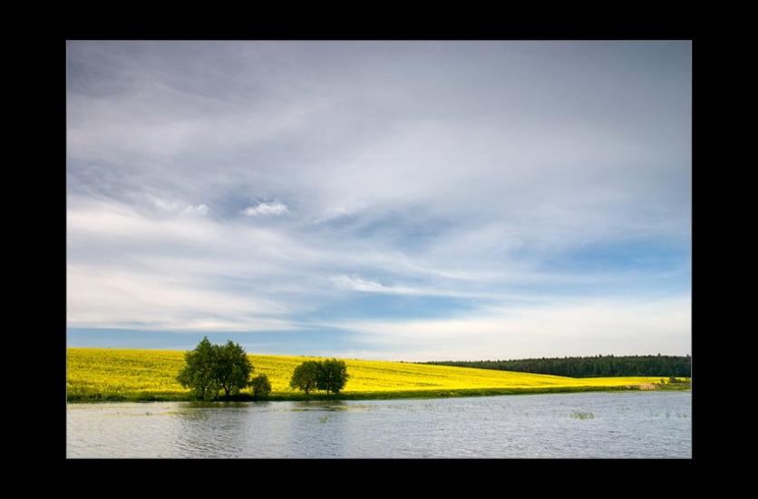 Рава-Руська з panoramio.com - Рава-Руська
