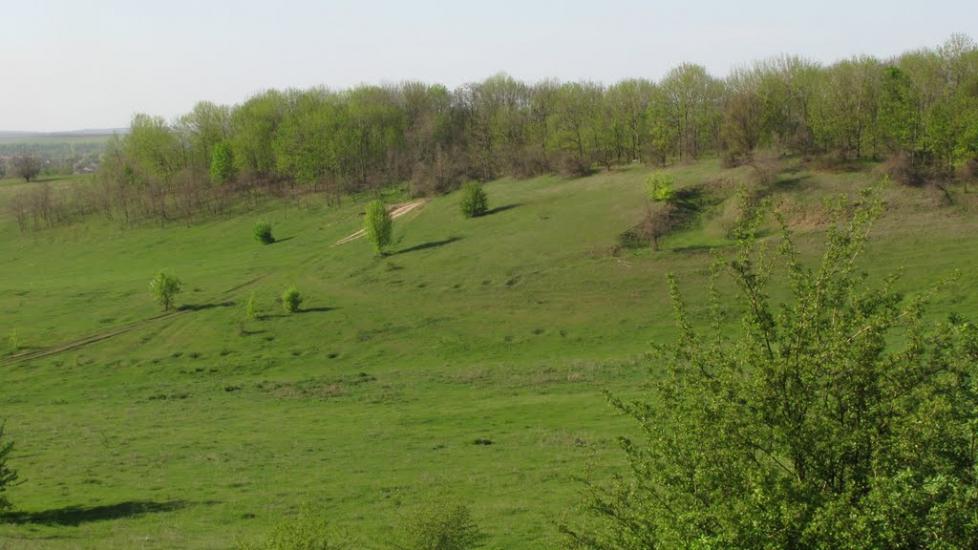 Дмитрівка з panoramio.com - Дмитровка