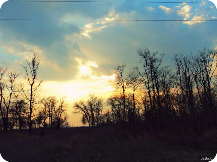 Дачне з panoramio.com - Dachne