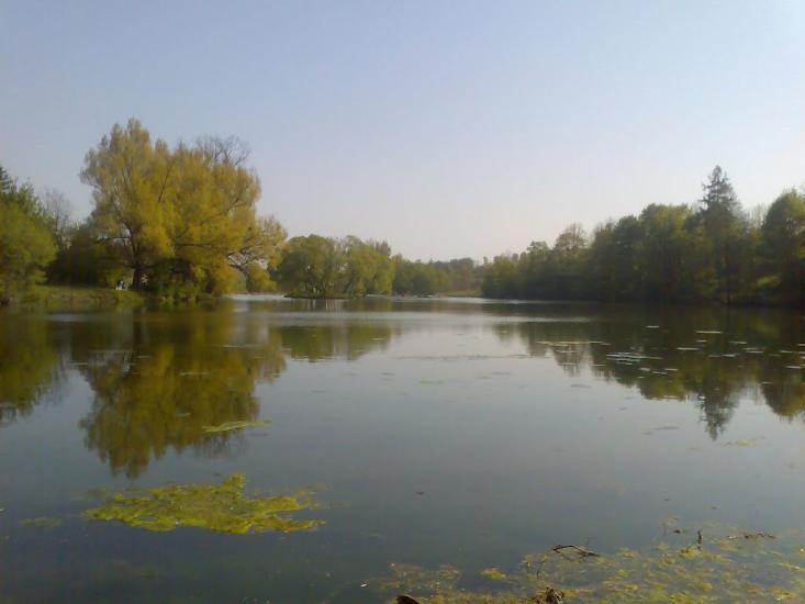 Блищанівка з panoramio.com - Блещановка