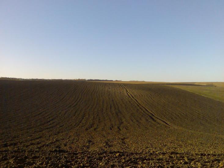 Пашківці з panoramio.com - Pashkivtsi