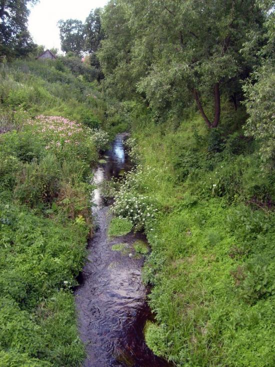 Гуща з panoramio.com - Гуща