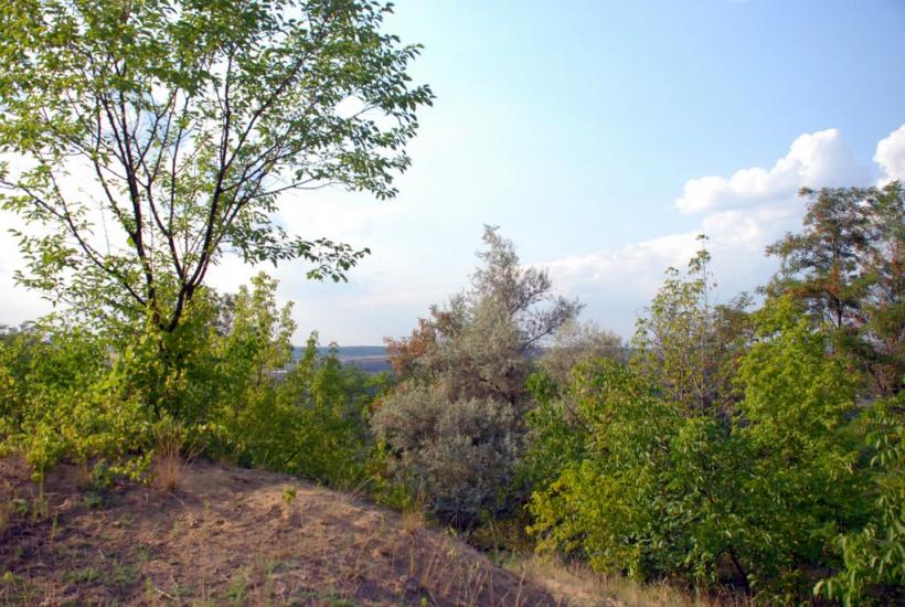Олександрівка з panoramio.com - Александровка