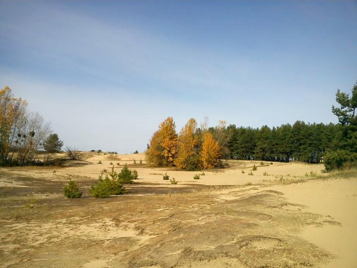 Новоселівка з panoramio.com - Новоселівка
