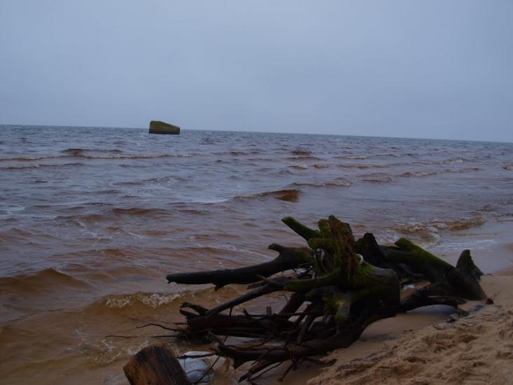 Козаровичі з panoramio.com - Kozarovychi