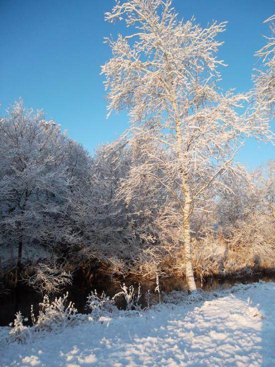 Захарівка з panoramio.com - Захарівка