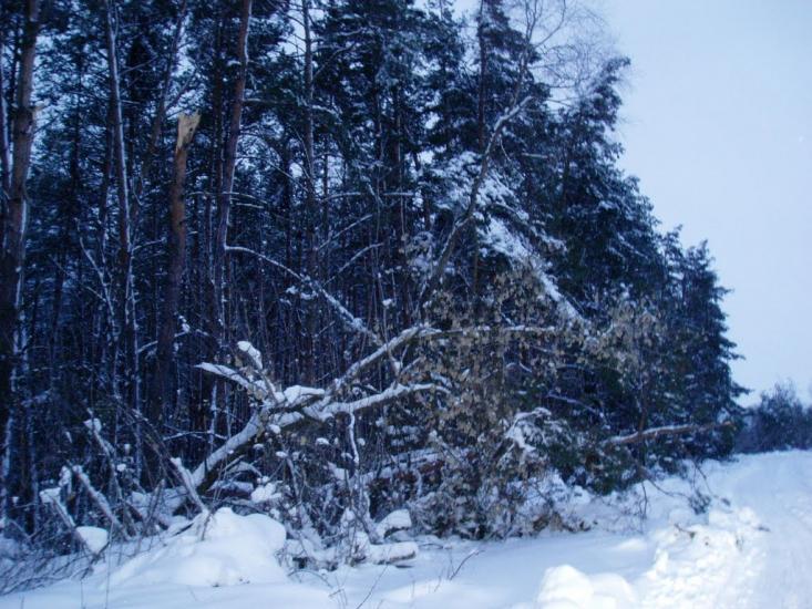 Проців з panoramio.com - Процев