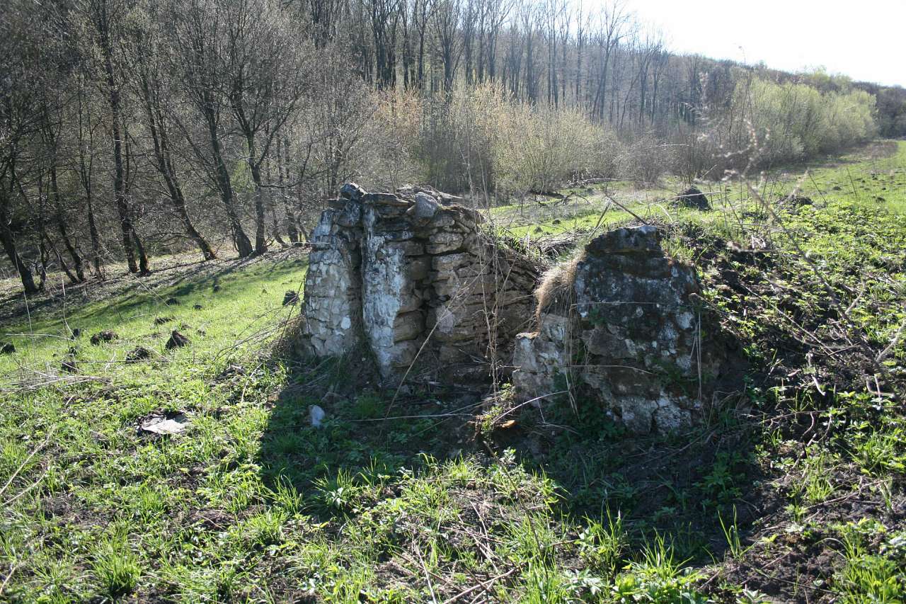 Весна на рідній землі - Кривчики