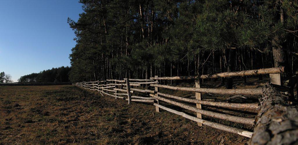 Клавдієво-Тарасове з panoramio.com - Клавдієво-Тарасове