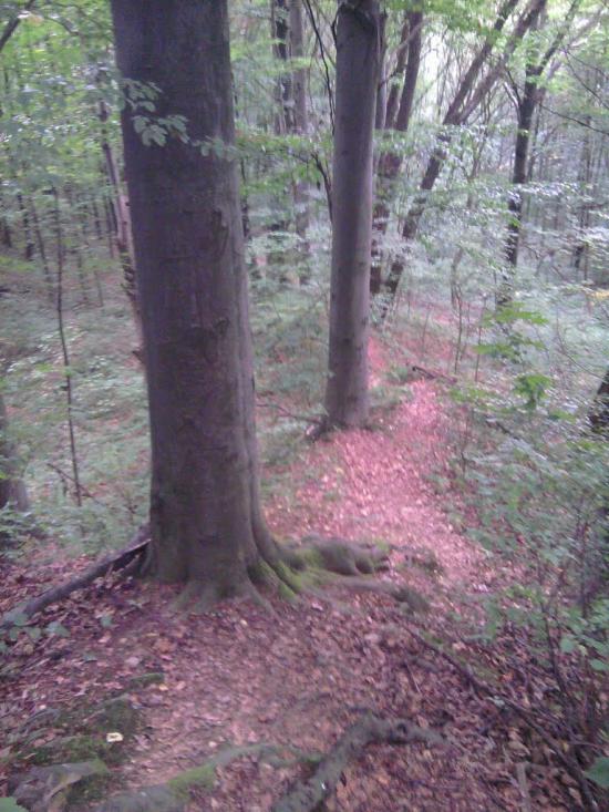 Майдан з panoramio.com - Майдан