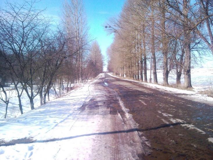 Рогізне з panoramio.com - Рогізне