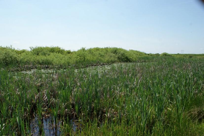 Оклі з panoramio.com - Окли