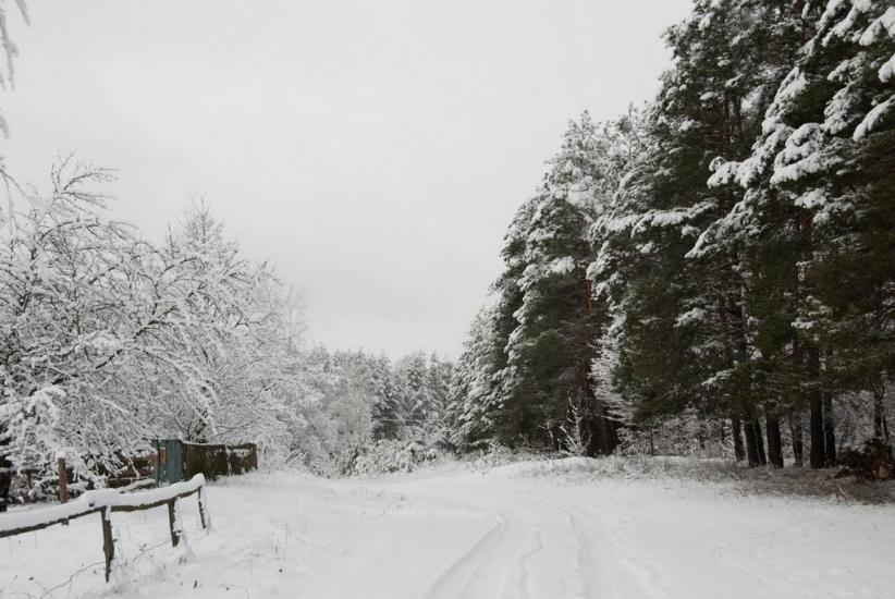 Малин з panoramio.com - Malyn