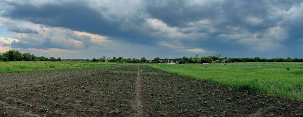Олександрівка з panoramio.com - Олександрівка