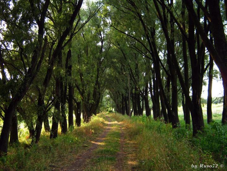 Рожів з panoramio.com - Рожев