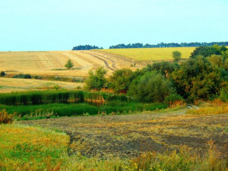 Маринопіль з panoramio.com - Marynopil