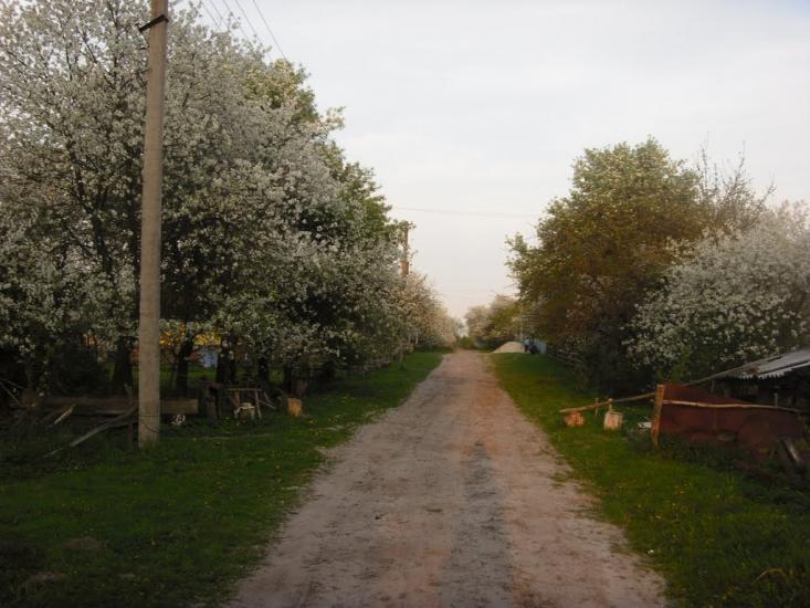 Чмикос з panoramio.com - Чмикос