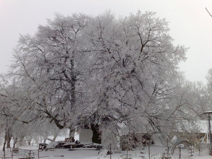 Лаврів з panoramio.com - Лавров