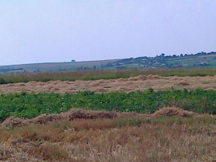 Сатиїв з panoramio.com - Сатыев