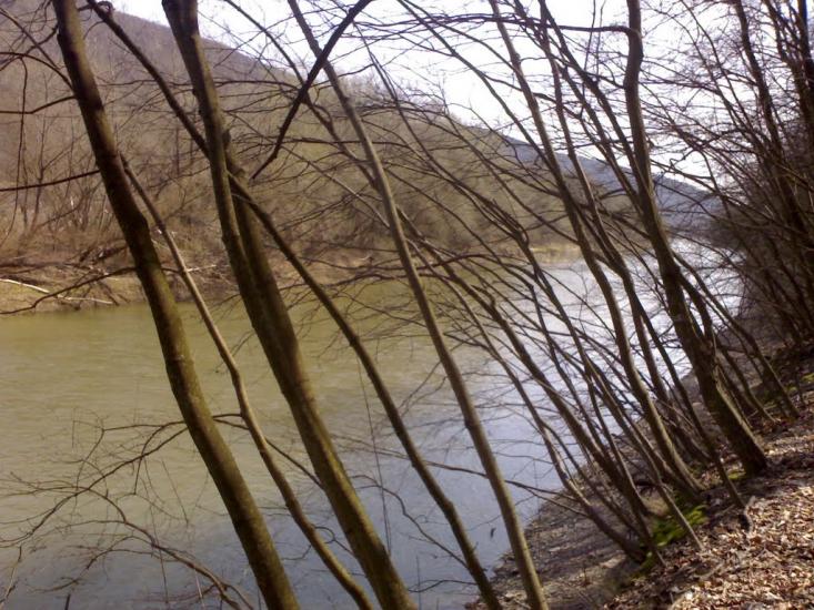 Михальче з panoramio.com - Михальче