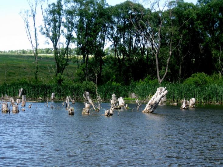 Стрілеча з panoramio.com - Стрілеча
