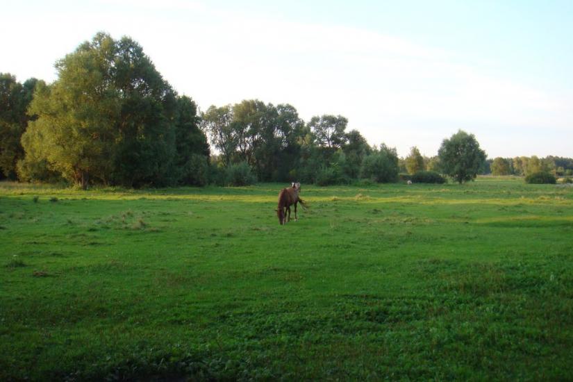 Івангород з panoramio.com - Ivangorod