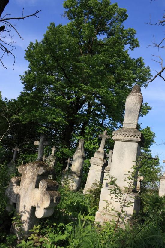 Лука з panoramio.com - Лука