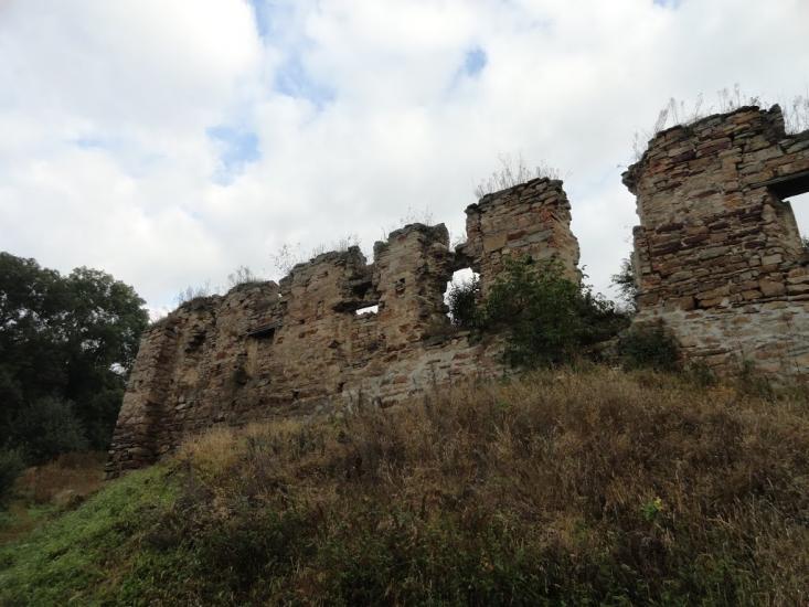 Микулинці з panoramio.com - Микулинці