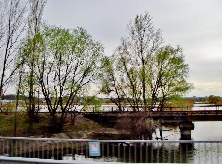 Піщана з panoramio.com - Піщана