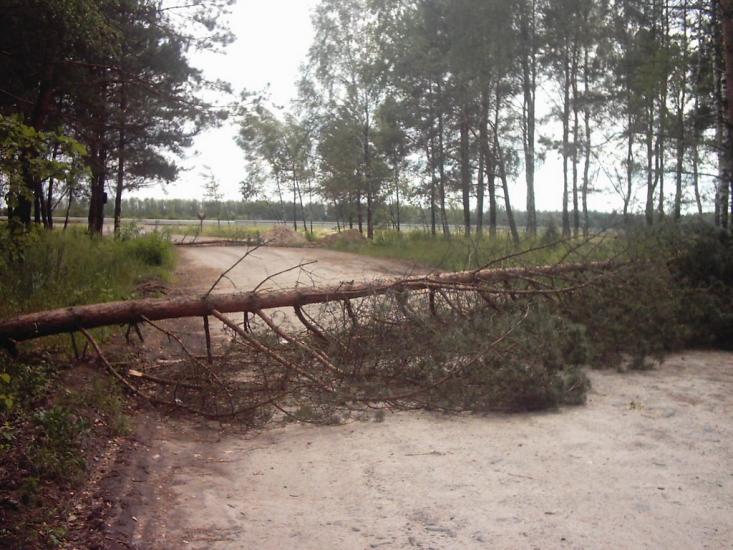 Римачі з panoramio.com - Рымачи