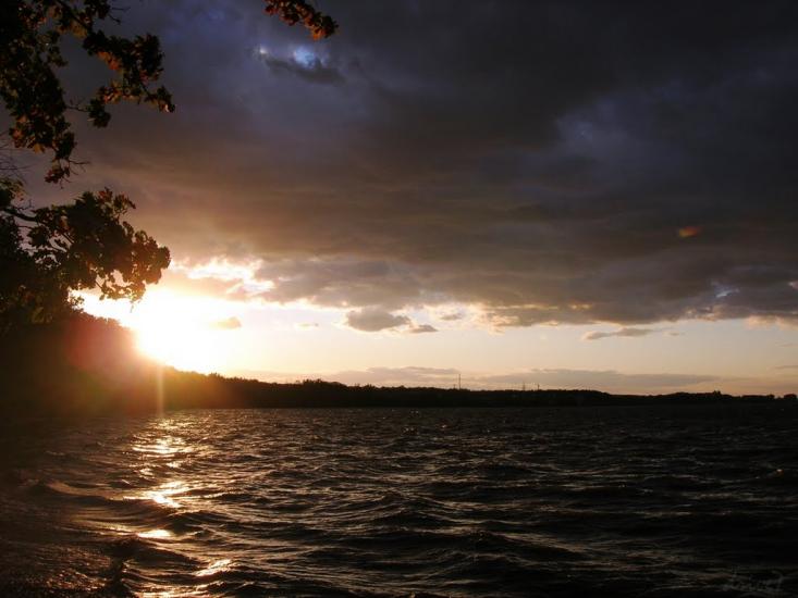 Зелений Гай з panoramio.com - Зеленый Гай
