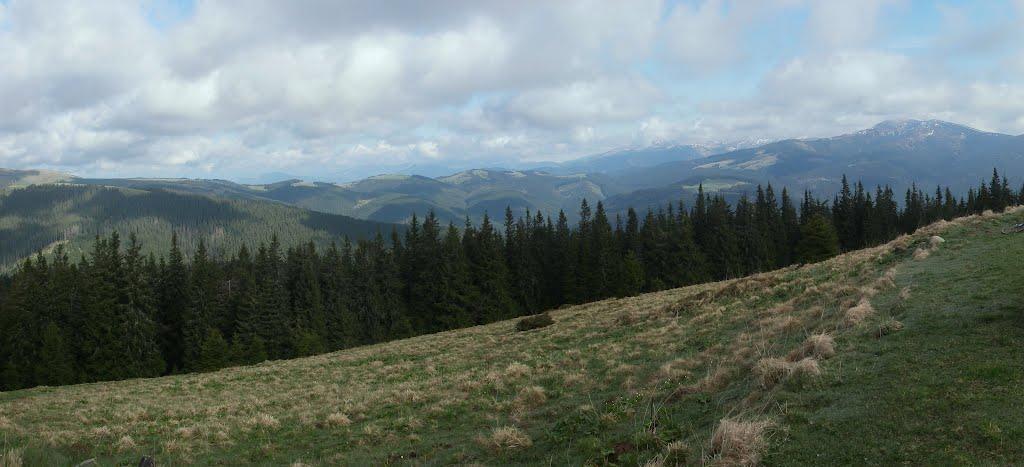Буркут з panoramio.com - Буркут