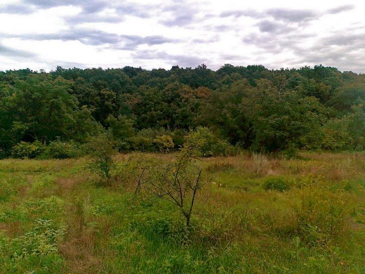 Подорожнє з panoramio.com - Подорожнє