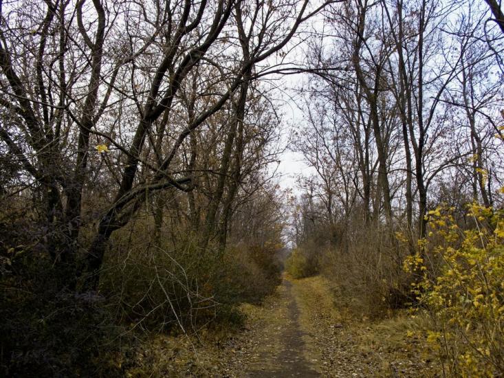 Червоні Поди з panoramio.com - Червоные Поды
