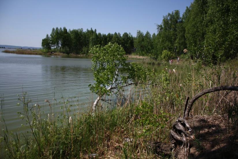 Ліпляве з panoramio.com - Лепляво