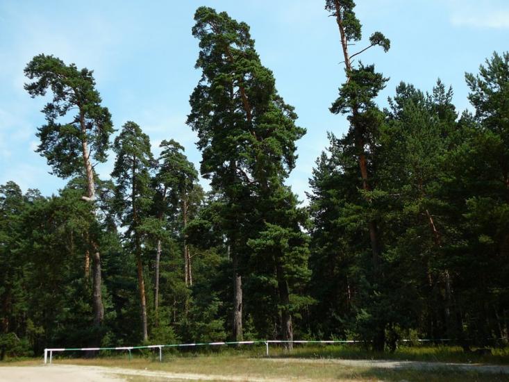 Климентове з panoramio.com - Климентово