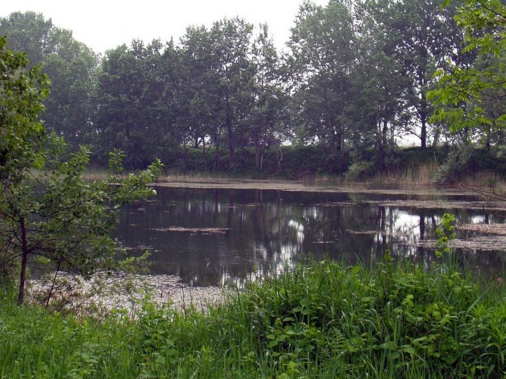 Біла з panoramio.com - Біла