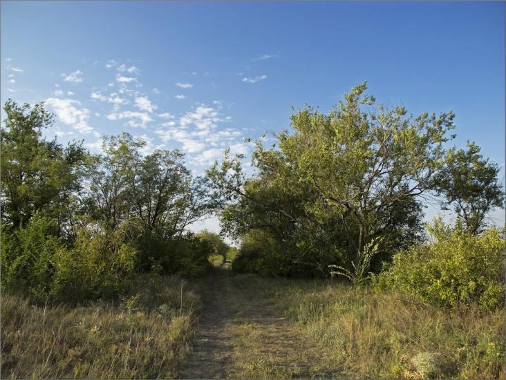 Златоустівка з panoramio.com - Златоустівка