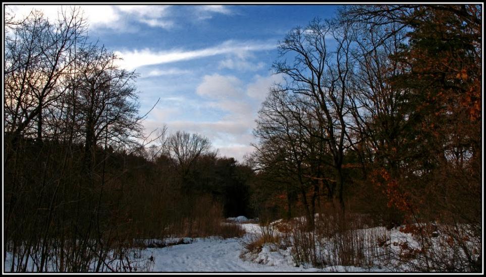 Литовеж з panoramio.com - Литовеж