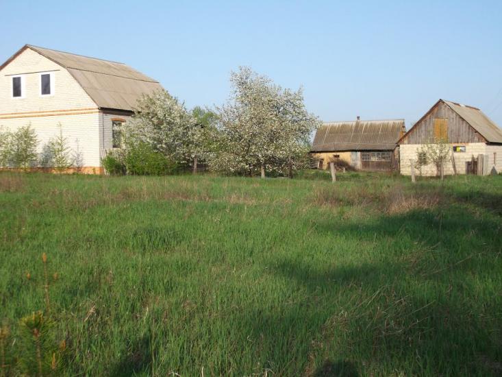 Скрипаї з panoramio.com - Скрипаи