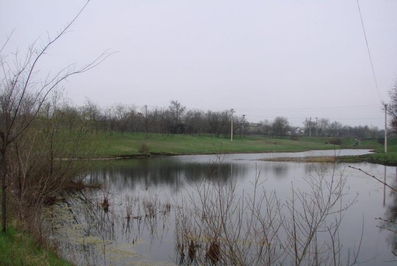 Старі Шомполи з panoramio.com - Старые Шомполы