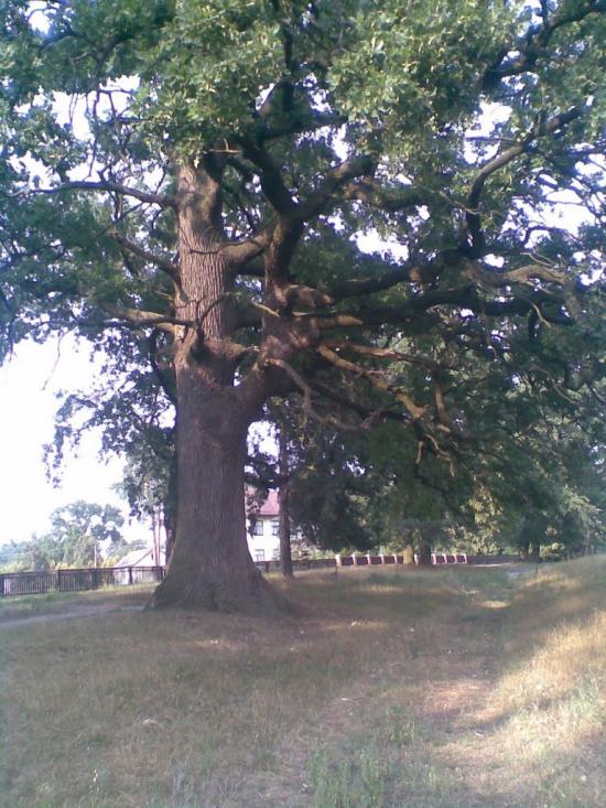 Руська Поляна з panoramio.com - Русская Поляна