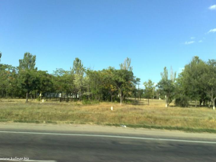 Кам'янське з panoramio.com - Каменское