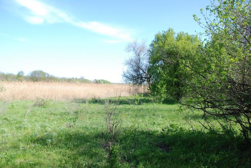 Василівка з panoramio.com - Васильевка