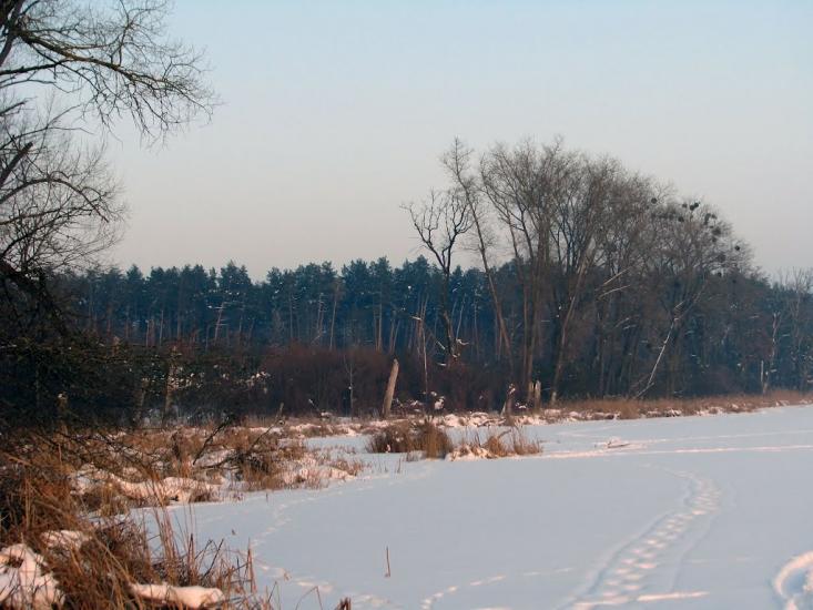 Волиця з panoramio.com - Волица